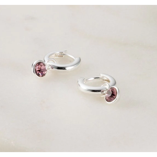 Tess Huggies Earrings - Silver or Gold by Zafino